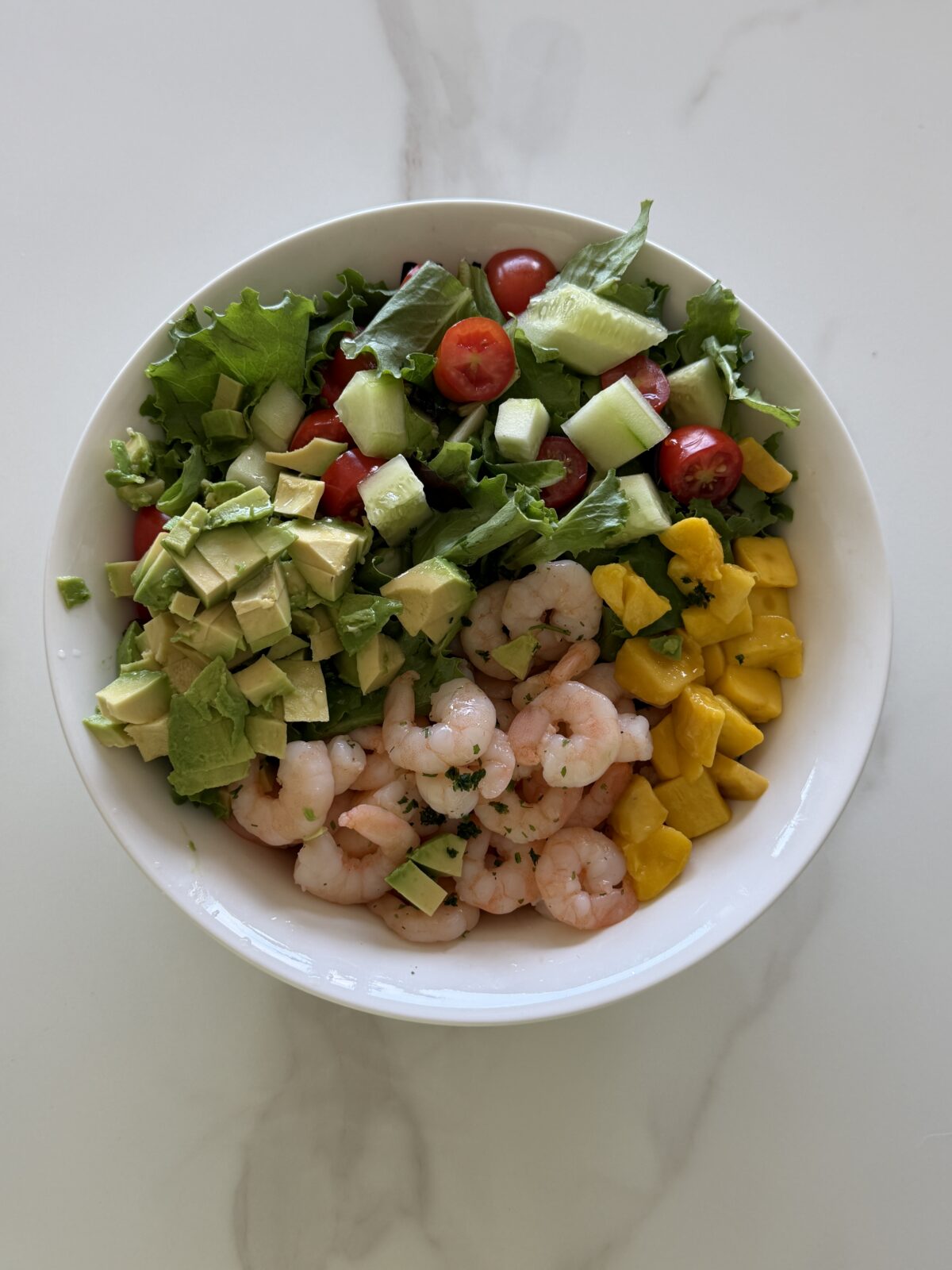 suvine kreveti-mangosalat